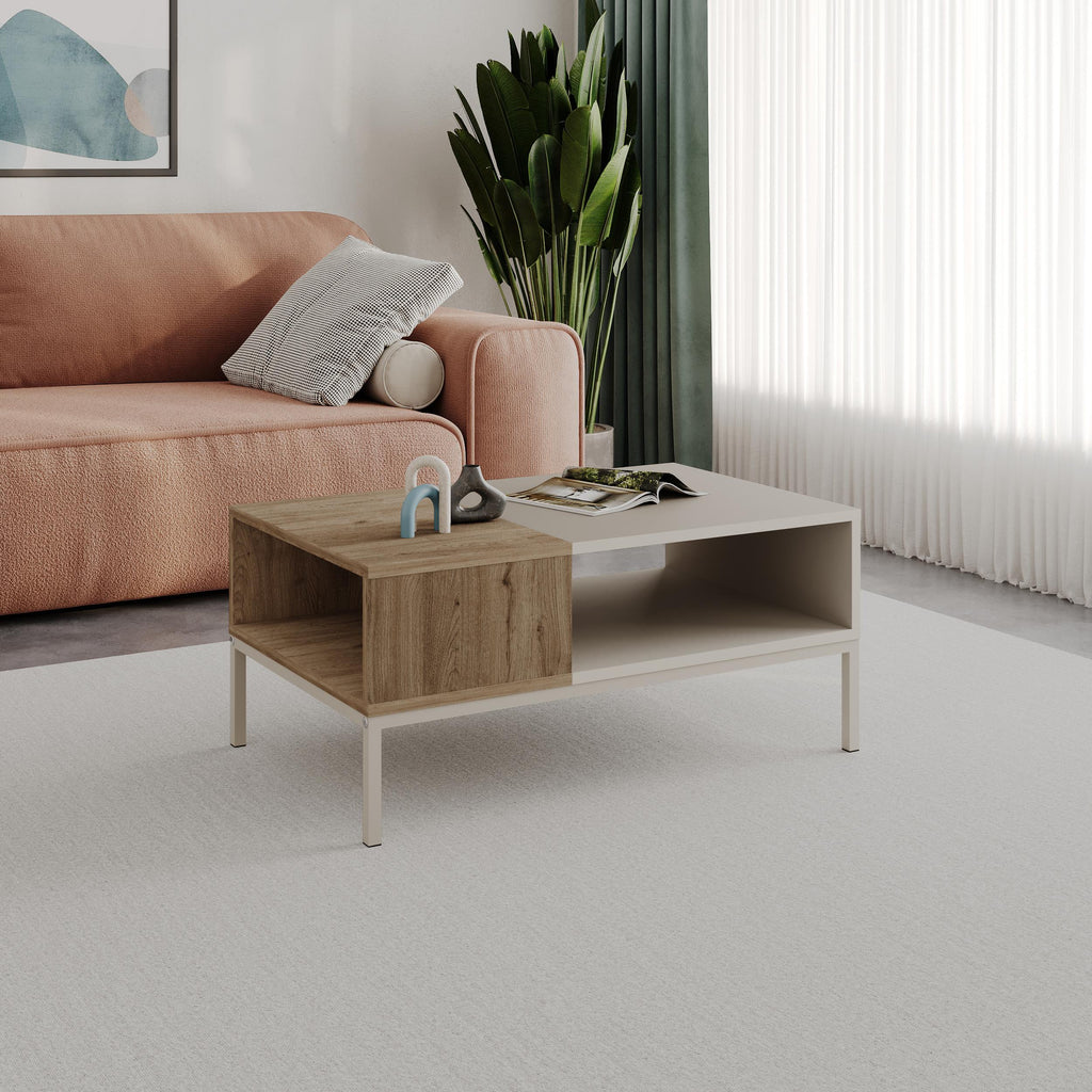 Decortieliving - Cailin Modern Coffee Table with Open Storage