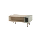 Decortieliving - Mona Modern Coffee Table with Open Storage
